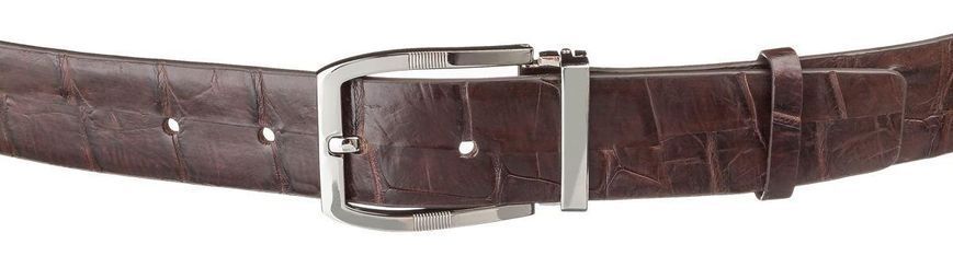 Ремінь чоловічий CROCODILE LEATHER 18178 з натуральної шкіри крокодила Коричневий 18178 фото